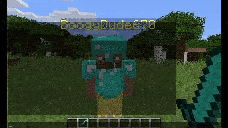 The usual display of the skeletal log entity